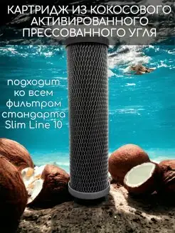 Картридж для воды из кокосового угля BL COC 10SL NASHFILTER 158901851 купить за 273 ₽ в интернет‑магазине Wildberries