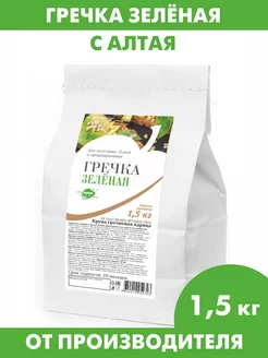 Гречка зеленая алтайская для каш и проращивания, 1,5 кг Образ жизни Алтая 22243943 купить за 321 ₽ в интернет‑магазине Wildberries